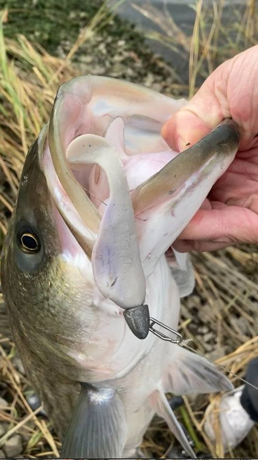 Springull's 4 inch Swimbait (4 pack) No jig heads