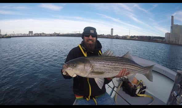 Springull's 6 inch Swimbait (3 pack+1 jig head)